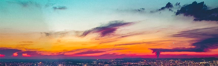 东至茶虫网_东至品茶